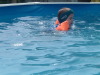Thumbnail swimming 006.jpg 
