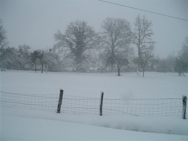 snow4pm_20005.jpg 