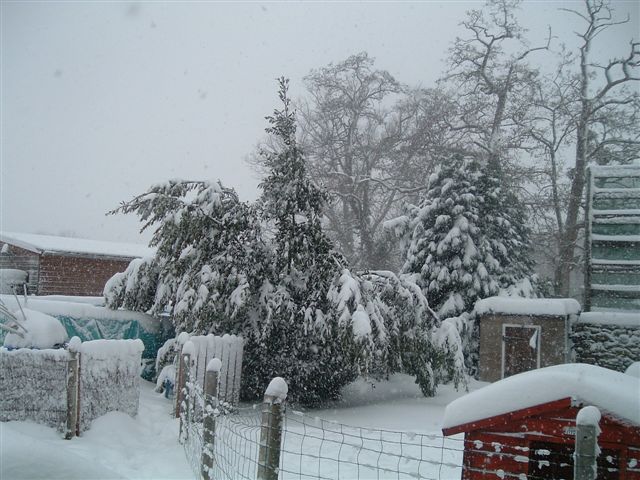 snow4pm_20006.jpg 