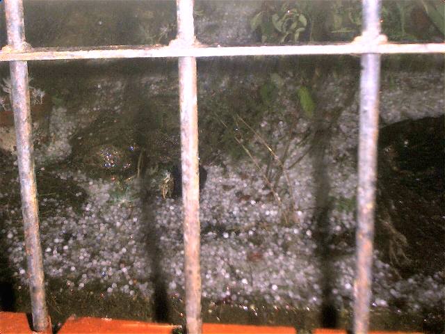 hailstones.JPG 