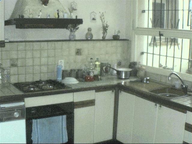 nice_house_kitchen.jpg 