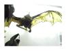 Thumbnail Big Bat.jpg 