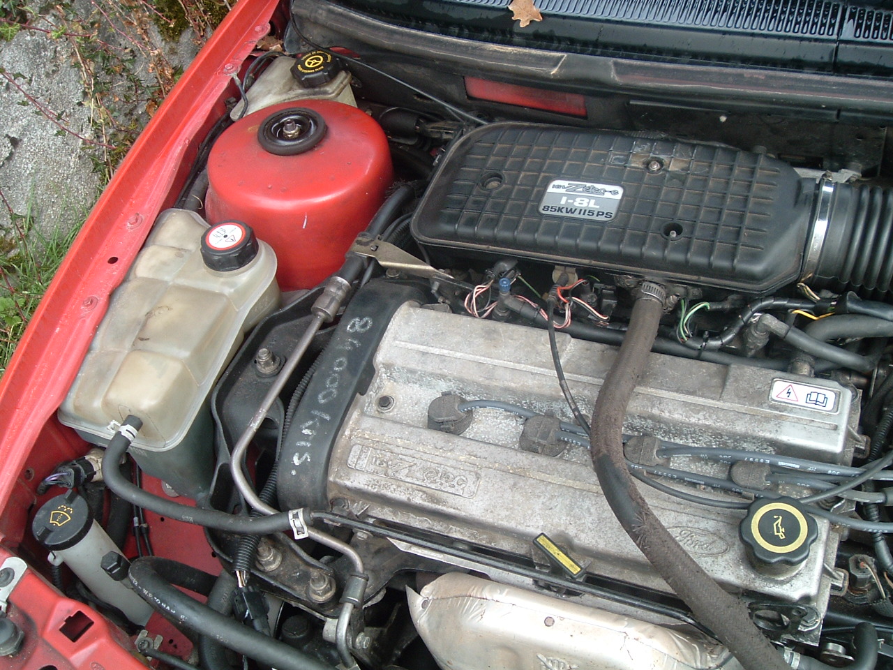 motor2.JPG 